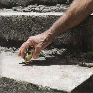 Big Thief : Mythological Beauty (7", Single, Ltd, Yel)